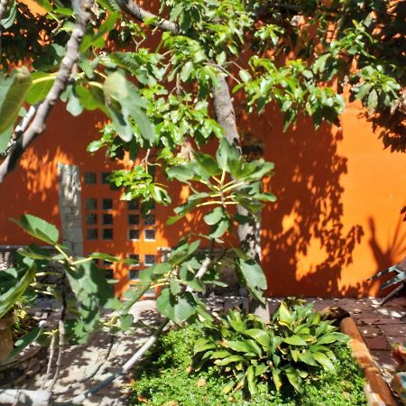 Ex Hacienda Appartement Guanajuato Buitenkant foto